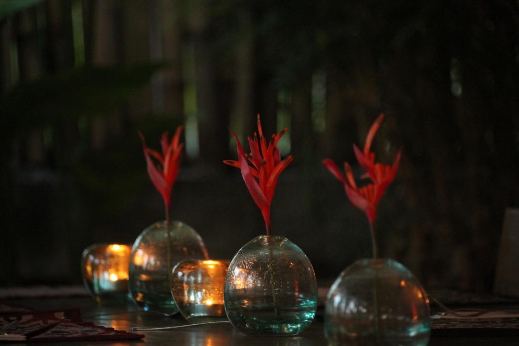 فندق تْشانغوفي  Kayu Bali المظهر الخارجي الصورة